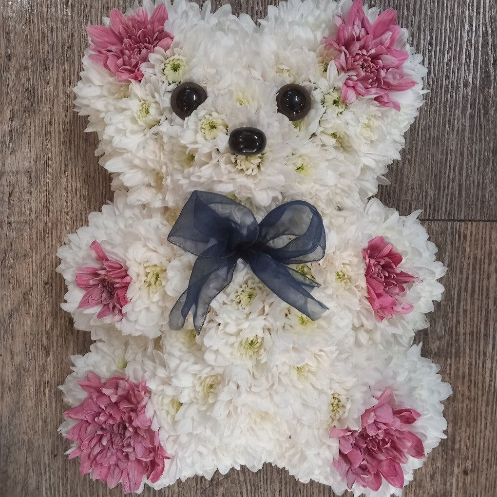 30cm 2D Teddy