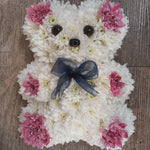 30cm 2D Teddy