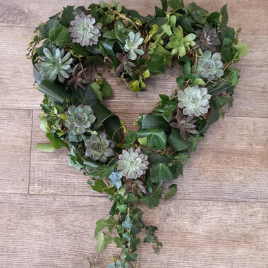 15" 38cm Succulent natural open heart
