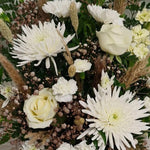 Blanche