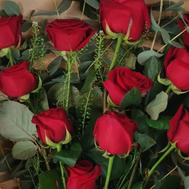 Rosy