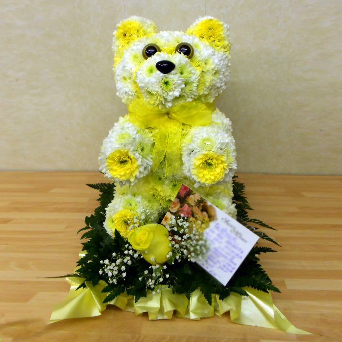 3D Teddy