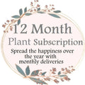 12 Month Plant Subscription