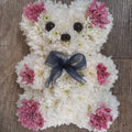 30cm 2D Teddy