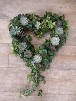 15" 38cm Succulent natural open heart