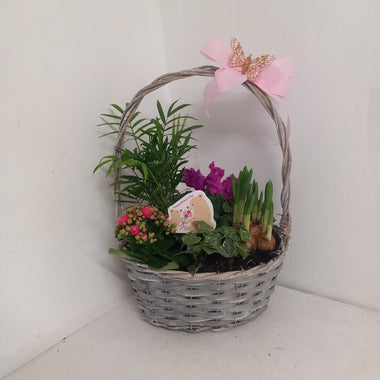 Mother's Day mixed planted basket