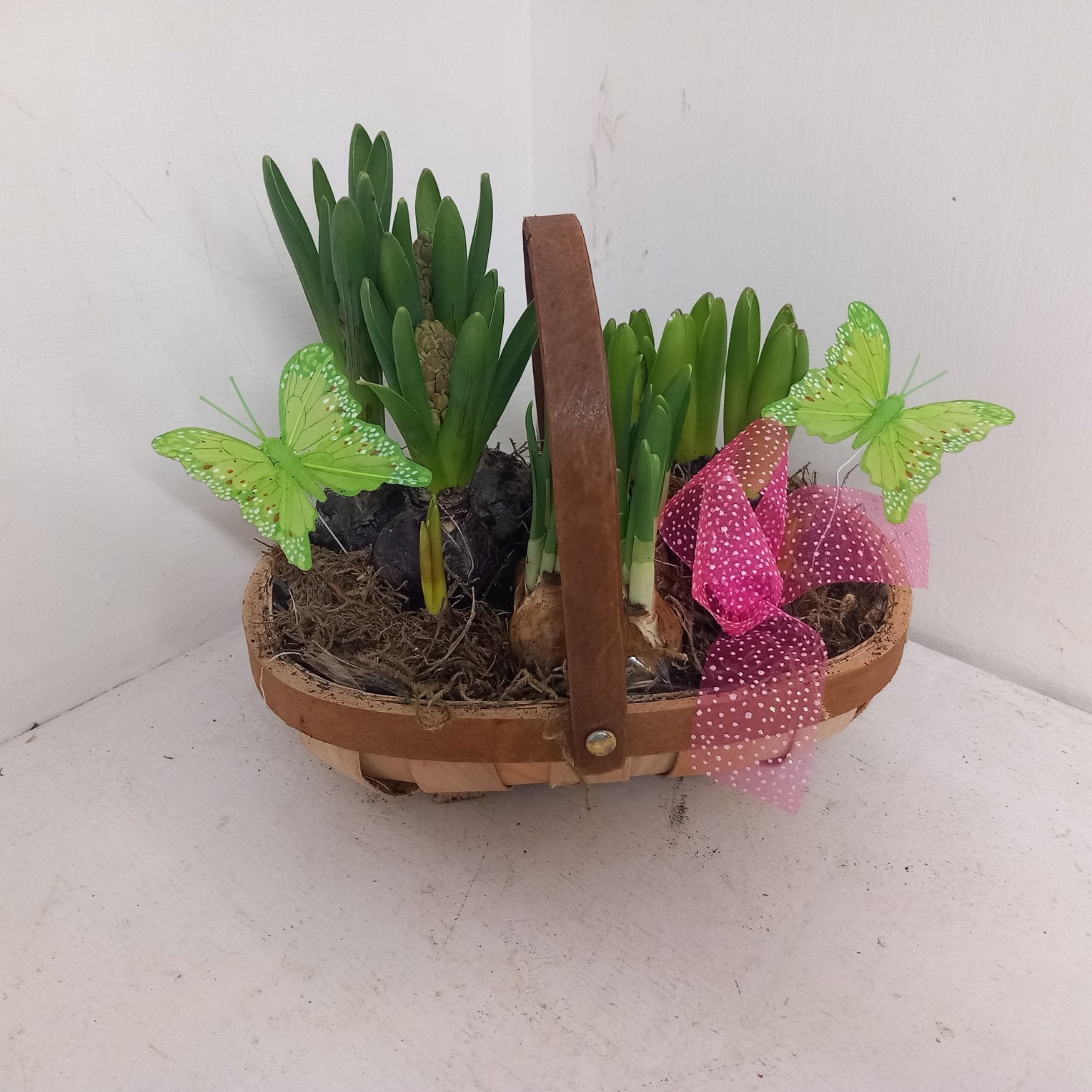 Seasonal Bulb basket