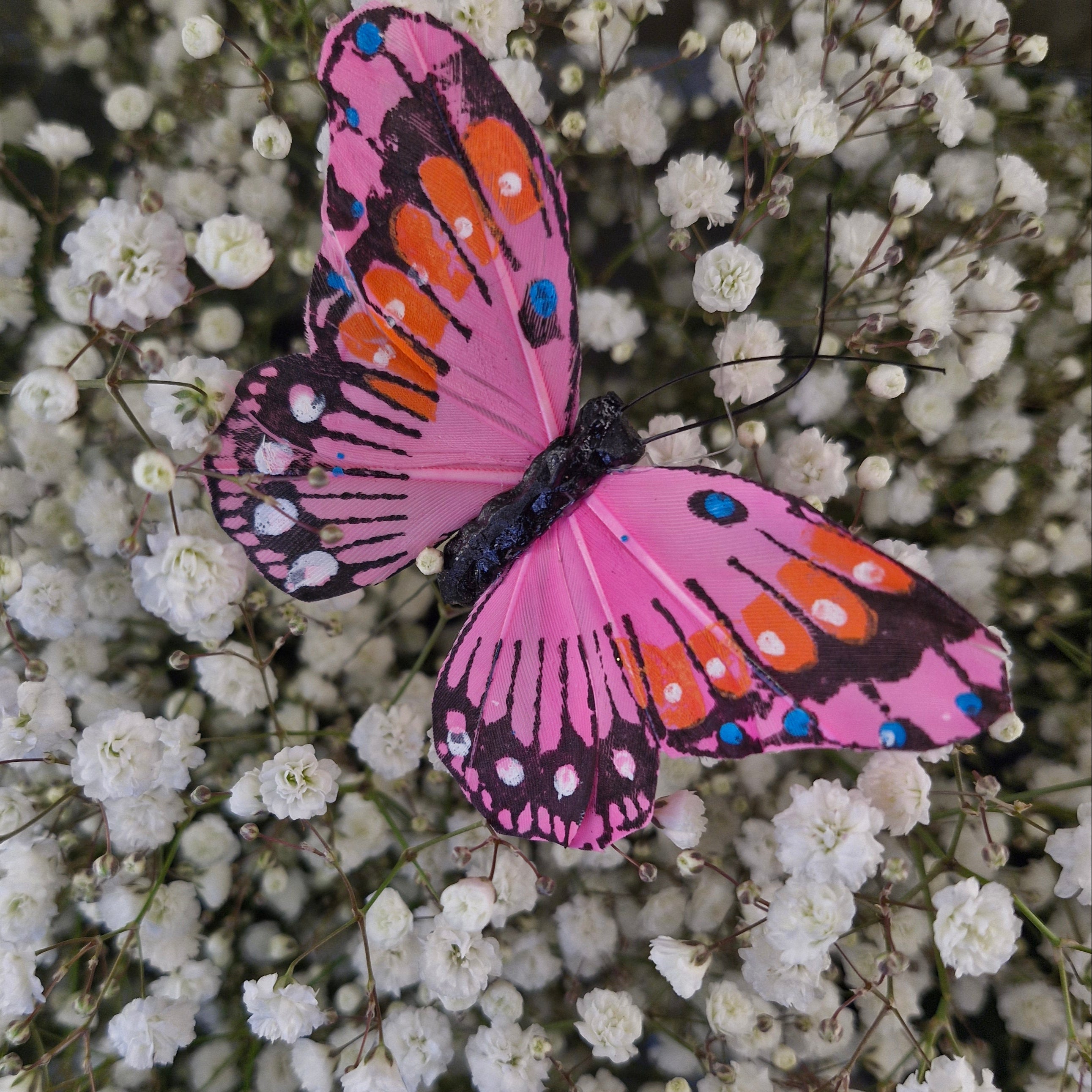 Add on- Natural Butterfly