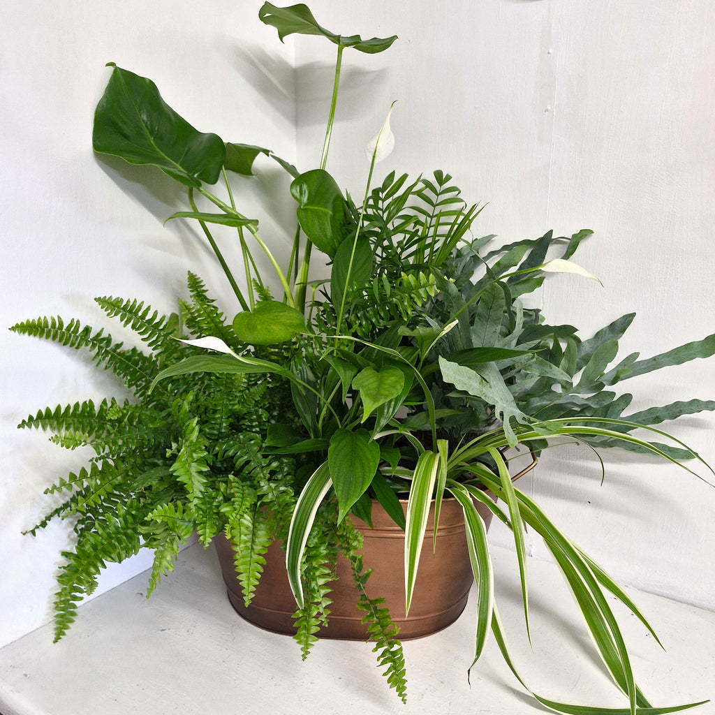 Indoor Planter