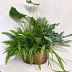 Indoor Planter