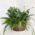 Indoor Planter