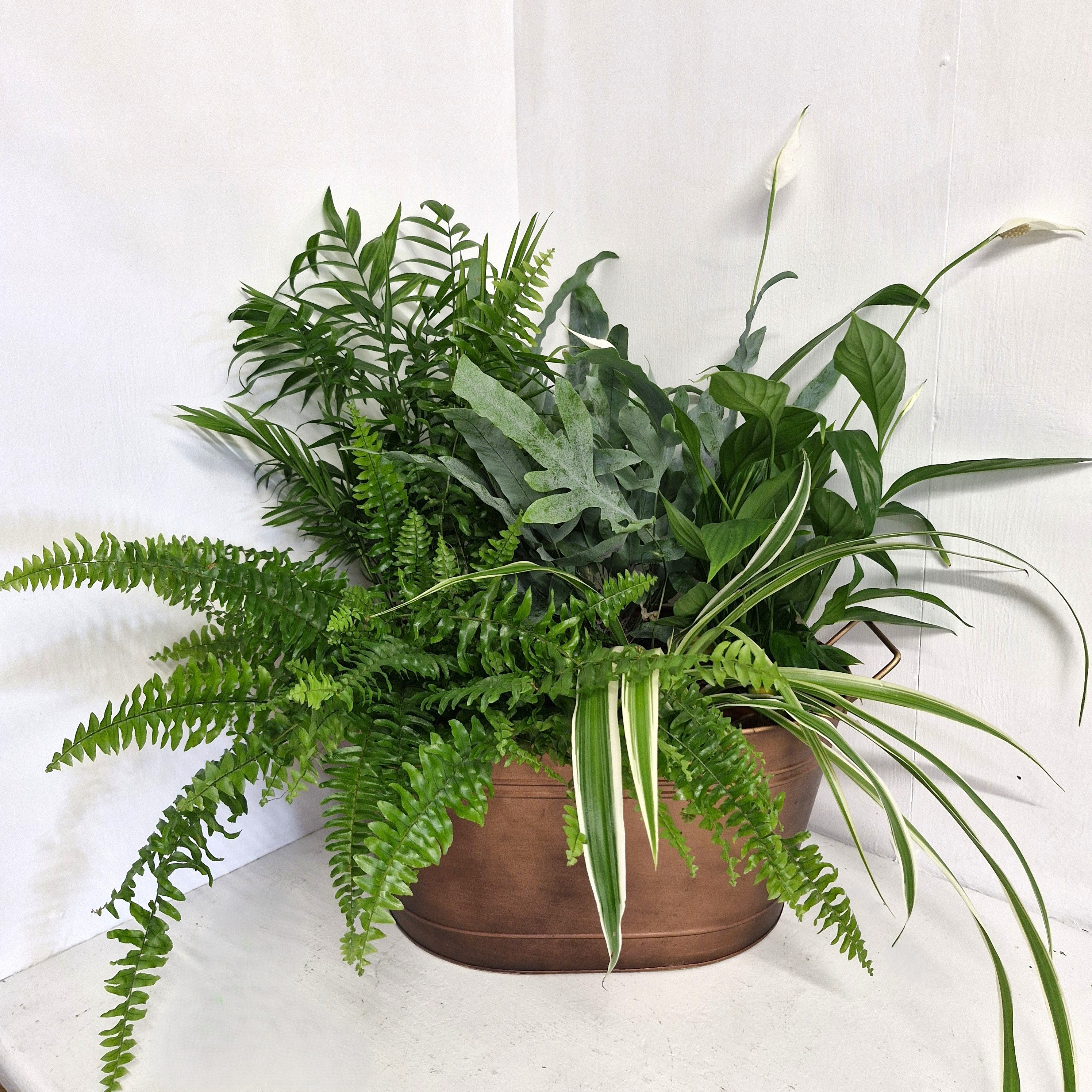 Indoor Planter