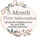 3 Month Plant Subscription