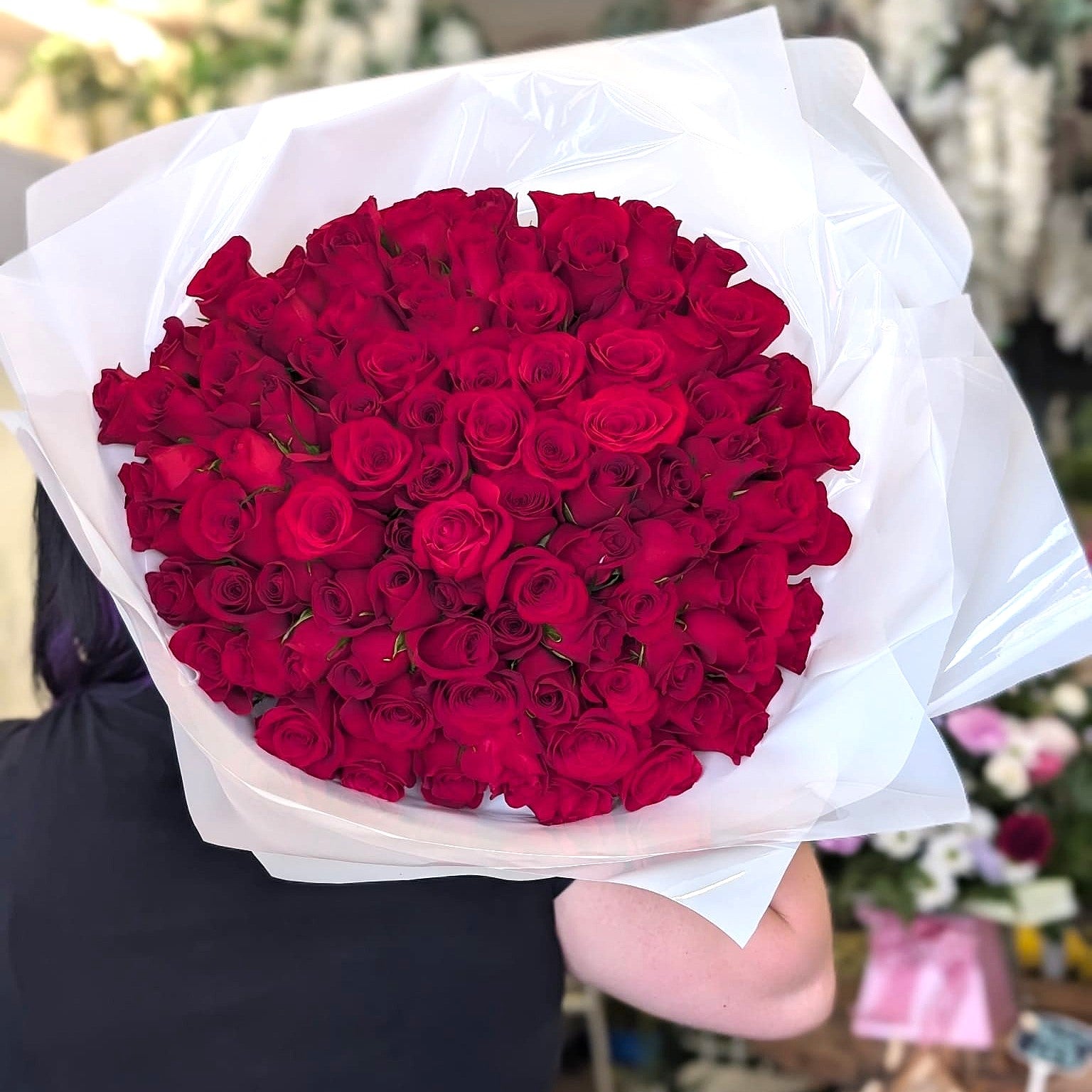 A large bouquet of deep red roses wrapped in white cellophane, held by a person