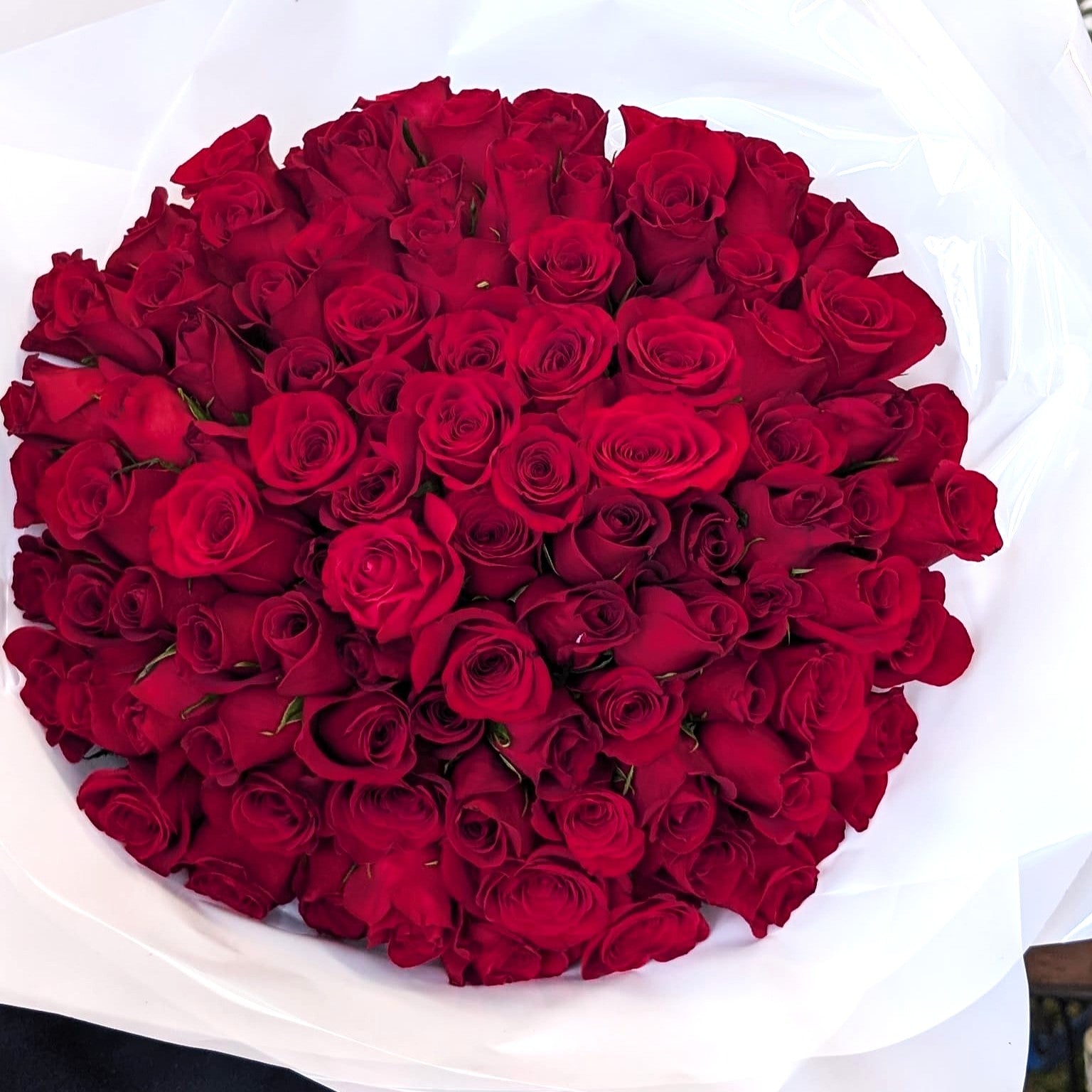 A large round bouquet of deep red roses wrapped in white paper, photographed from above.