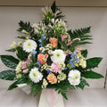 A floral arrangement featuring a variety of flowers including agapanthus, gerberas, roses, chrysanthemums, alstromeria, statice, delphinium, carnations, and mixed greenery, presented in a biodegradable foam bed.