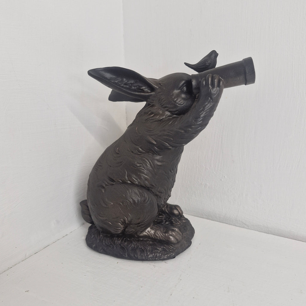 Binocular Bunny