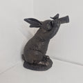 Binocular Bunny