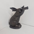 Binocular Bunny
