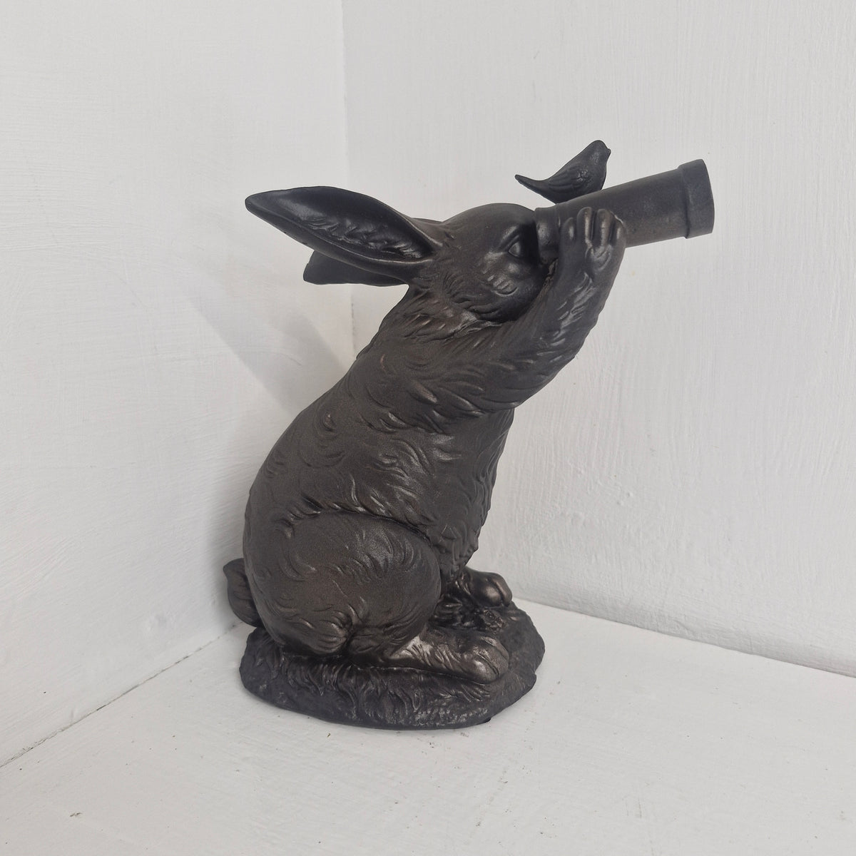Binocular Bunny