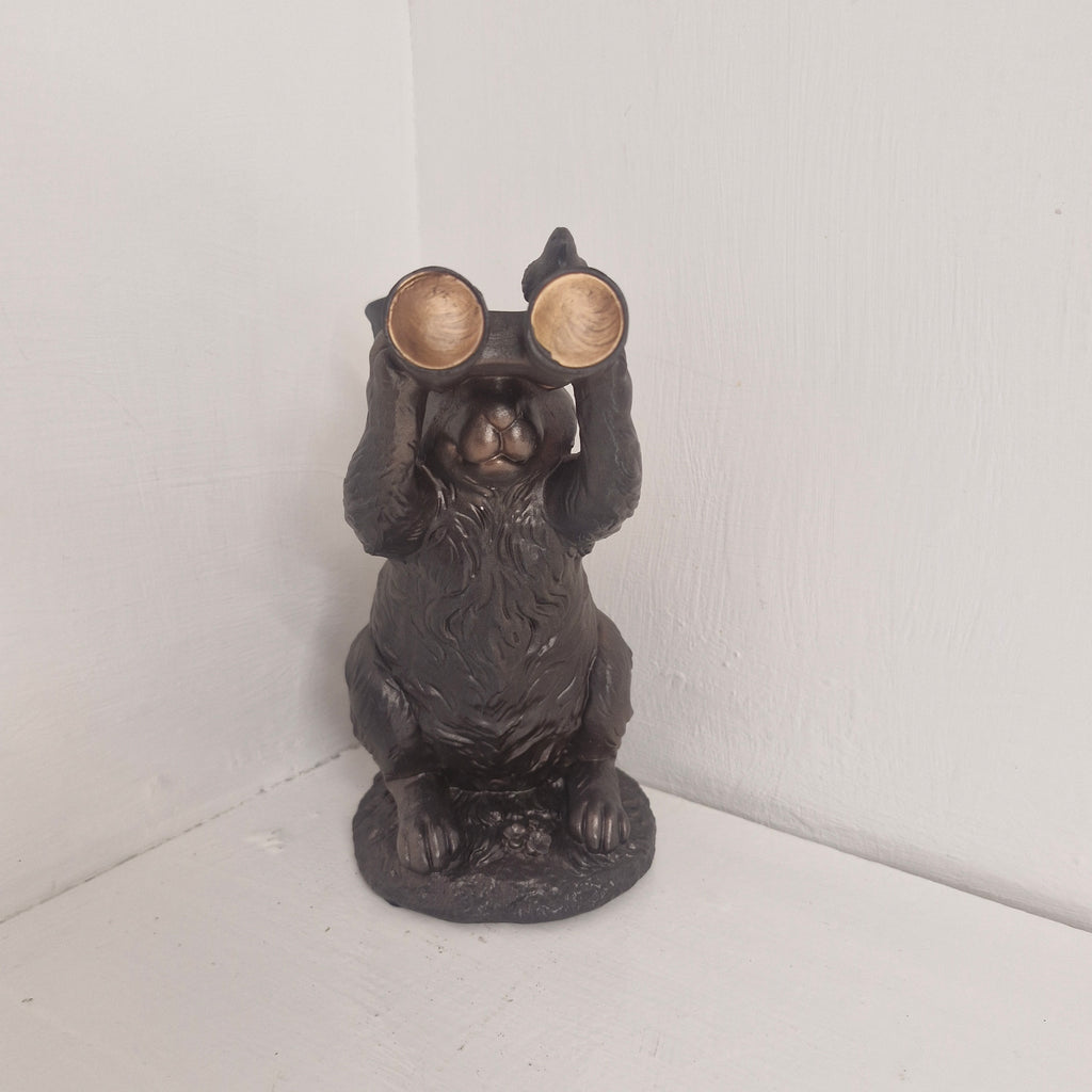 Binocular Bunny