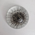 Paper weights