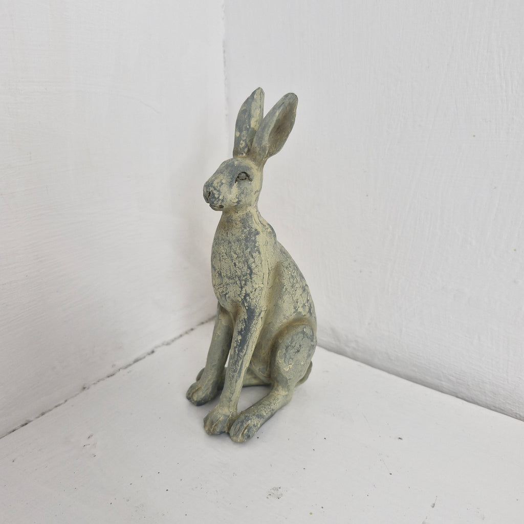 Small Hares