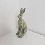 Small Hares