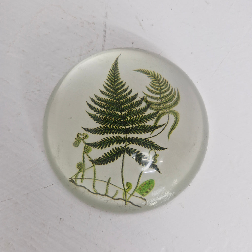 Paper weights