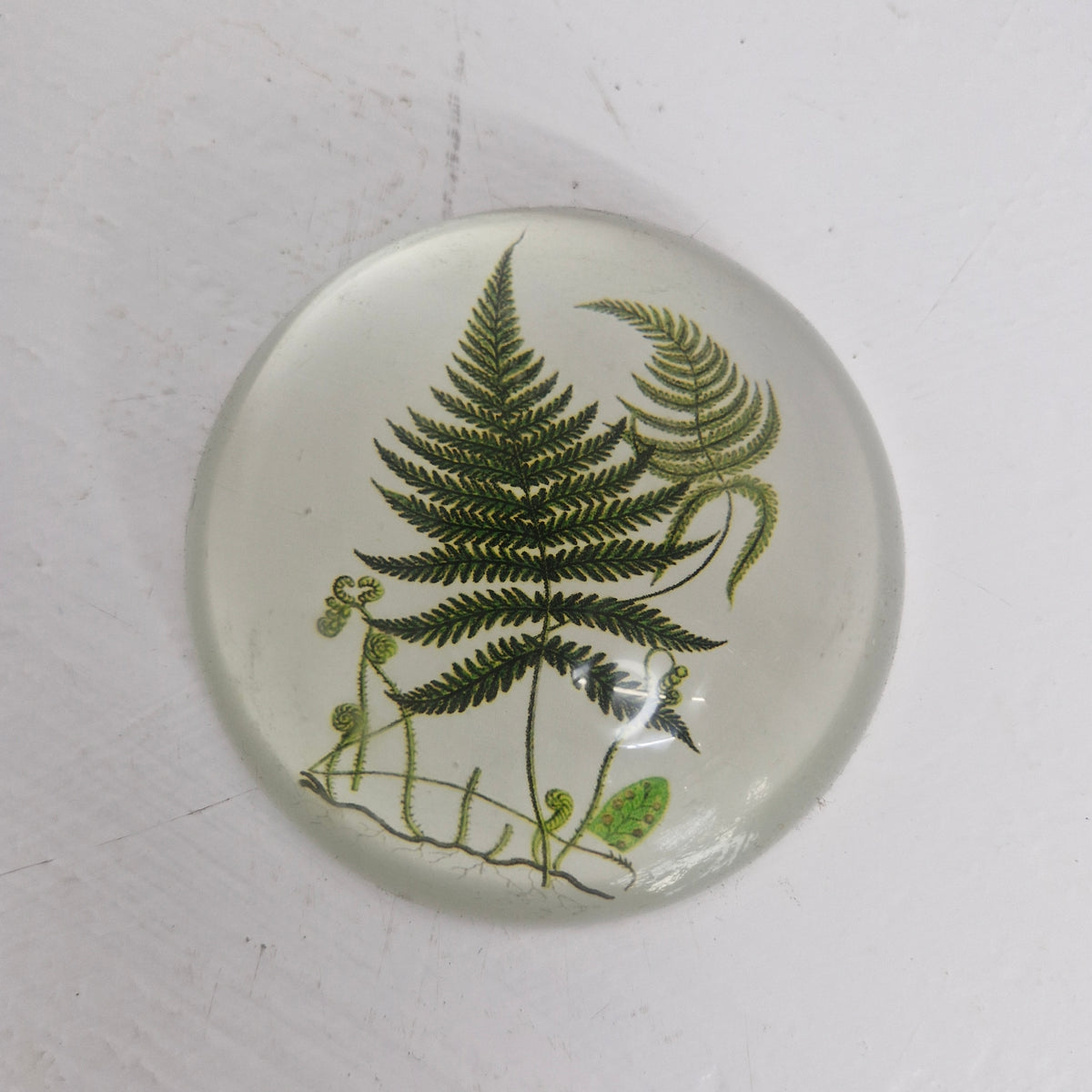 Paper weights