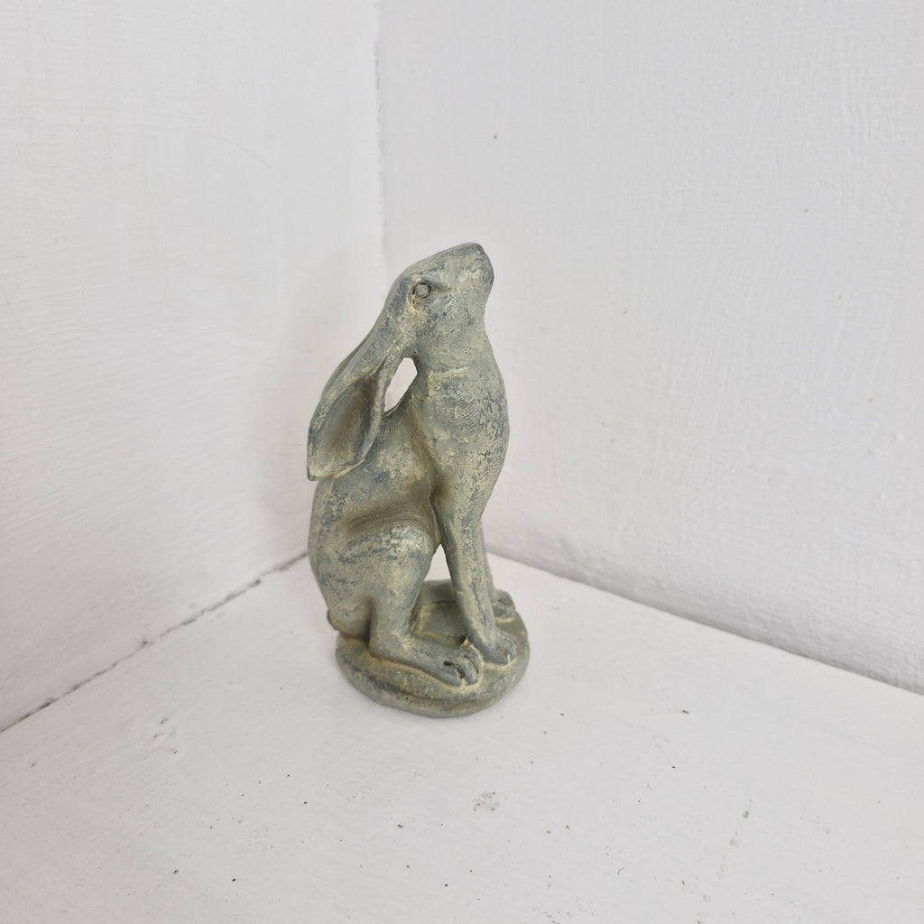 Small Hares