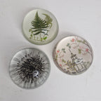 Paper weights