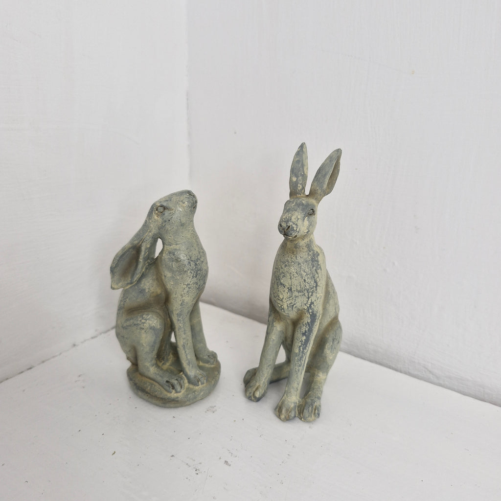 Small Hares