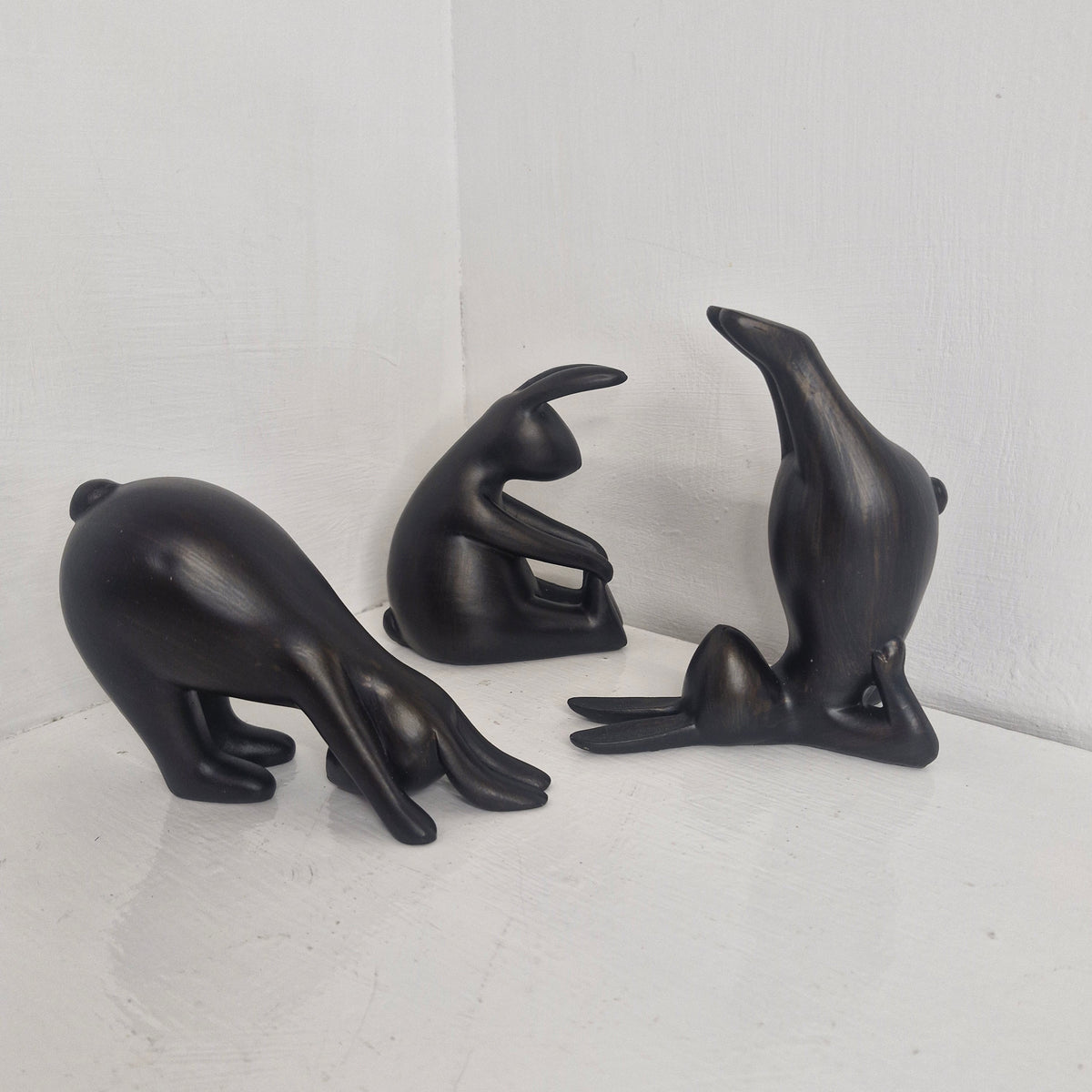 Yoga Bunnies