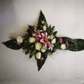 Aspidistra cross 2ft 6" (75cm)