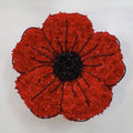 Red poppy