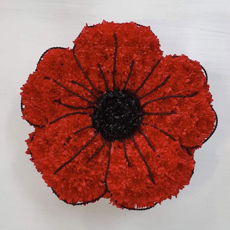Red poppy