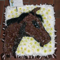 Horse Head
